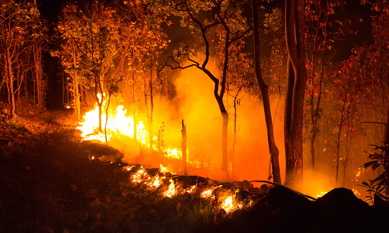 Aurecon to present findings regarding Bushfire Shelters in Victorian Schools at major conference.