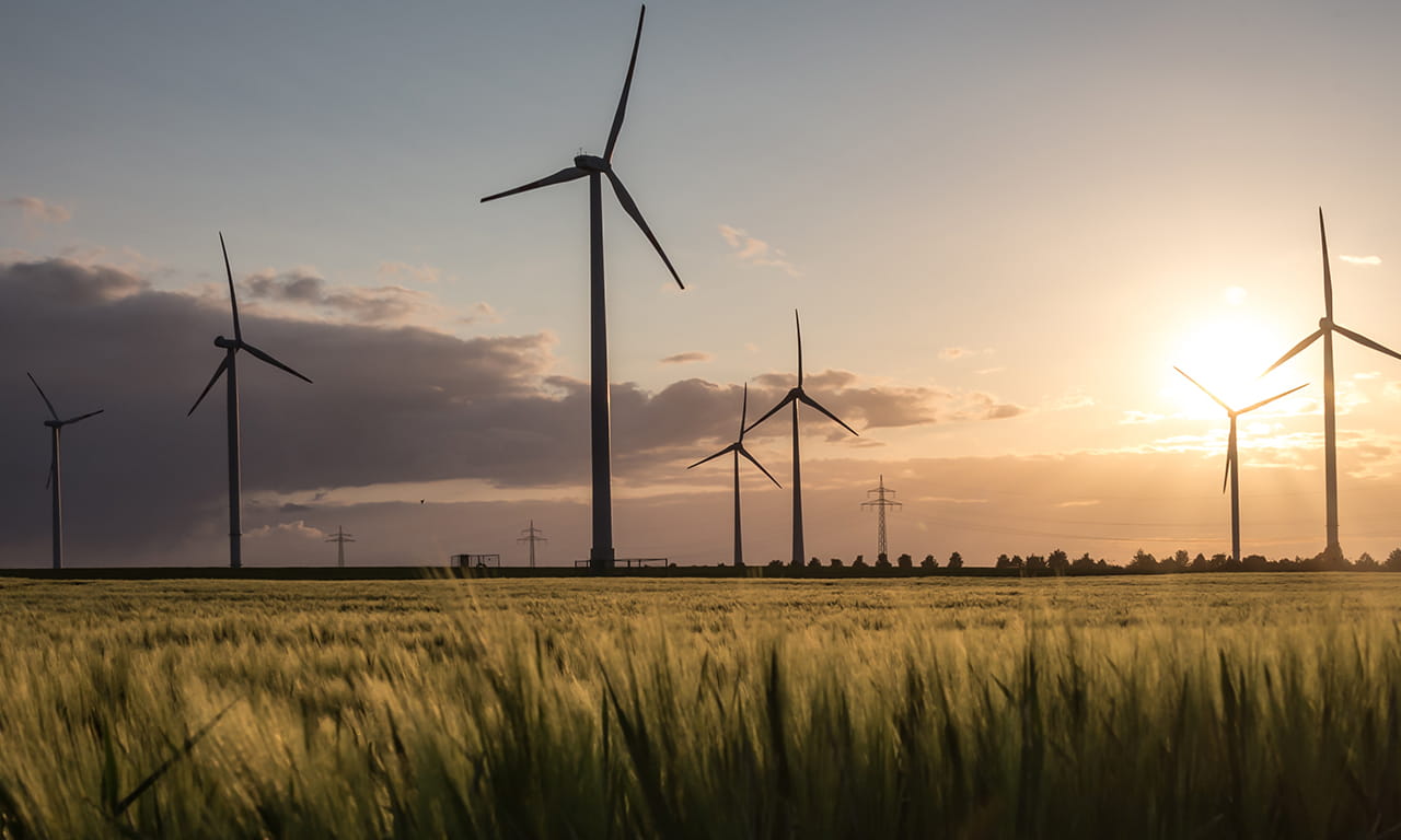 Aurecon New Zealand engineers are world leaders in solar, wind and hydro power projects around the globe.