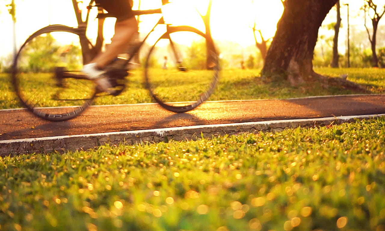 Cyclist riding through a park