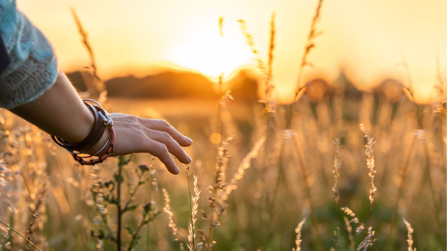 Woman running her hand through grass