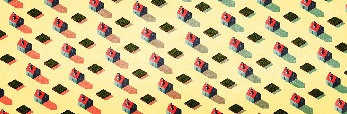 Solving world hunger: The key to thinking big is in thinking small!