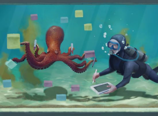 When innovation is your only option: lessons from an octopus