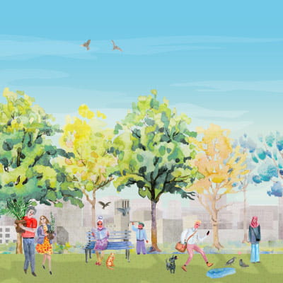 Can planting trees every 10 metres help us beat the heat?