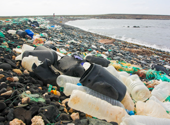 Shoreline full of plastics