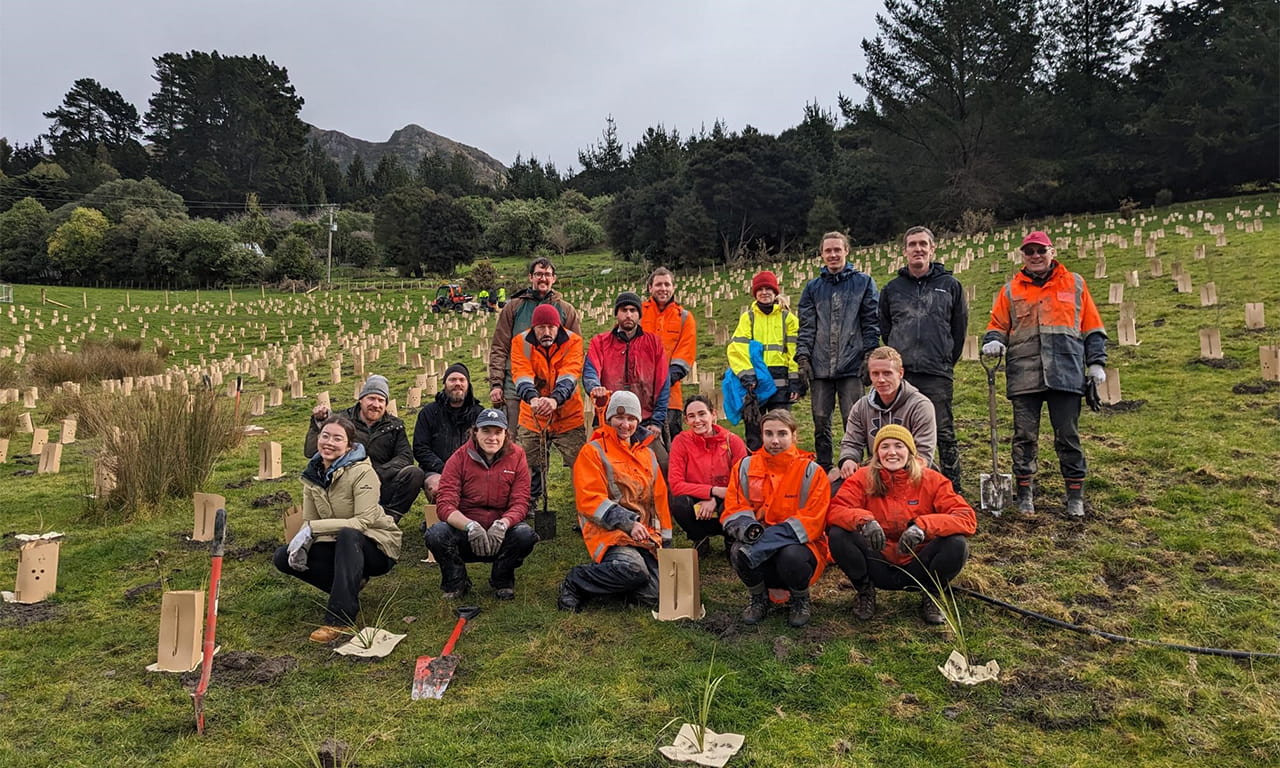 Our sustainability team in Ōtautahi Christchurch used their Handprints Volunteer Day to plant 800 native trees at a local ecosanctuary.