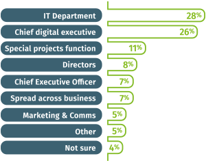 Responsible for digital strategy diagram