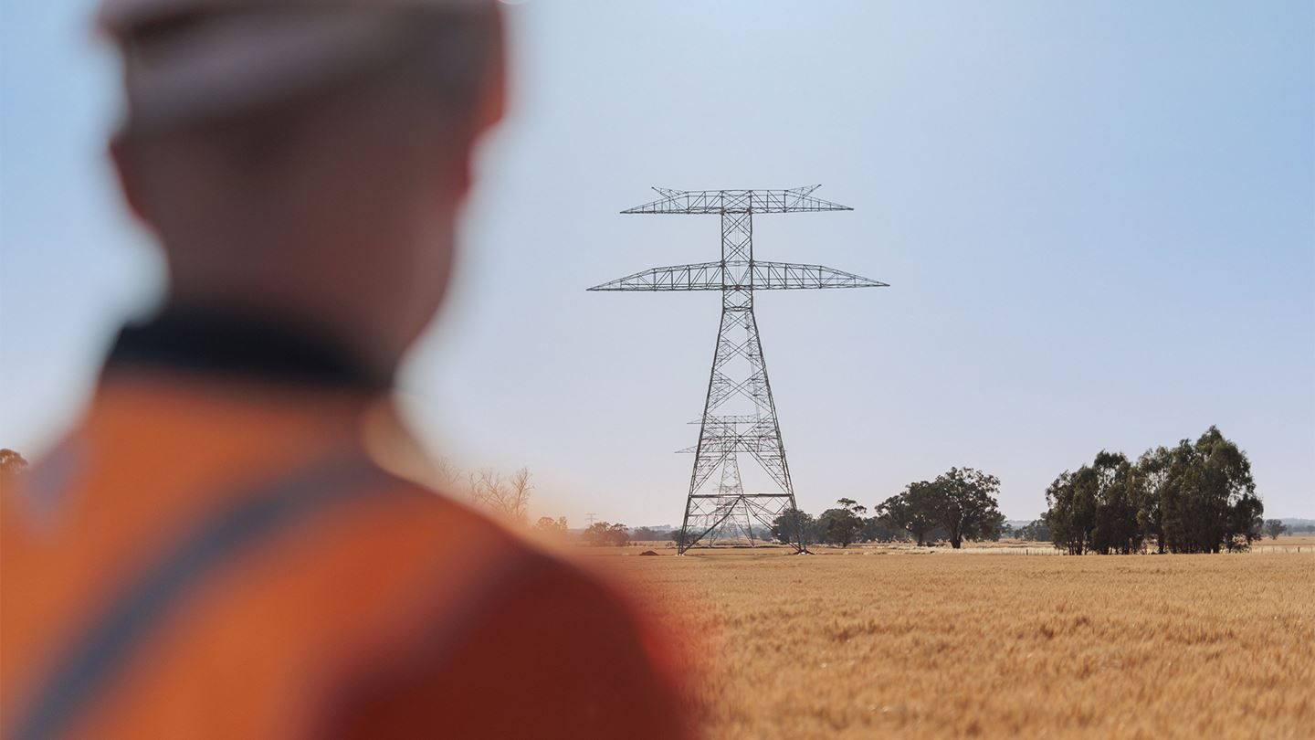 Worker surveying rural powerlines.