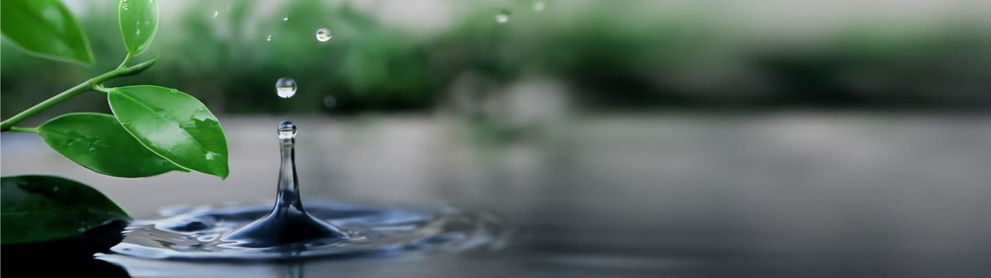 Aurecon is a true partner with our water clients and is pioneering a new model of delivery in the sector.