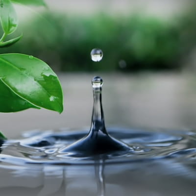 Water partnerships