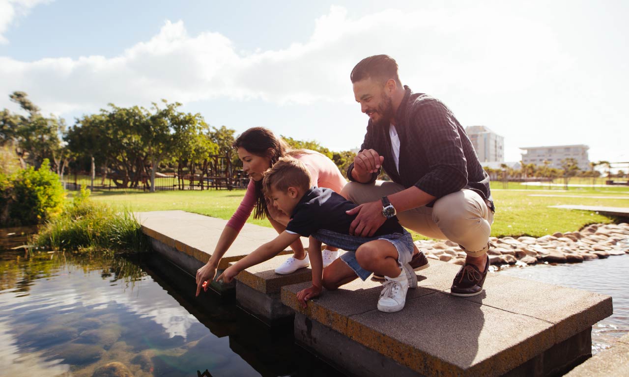 Shifting the balance by valuing natural assets in urban settings.