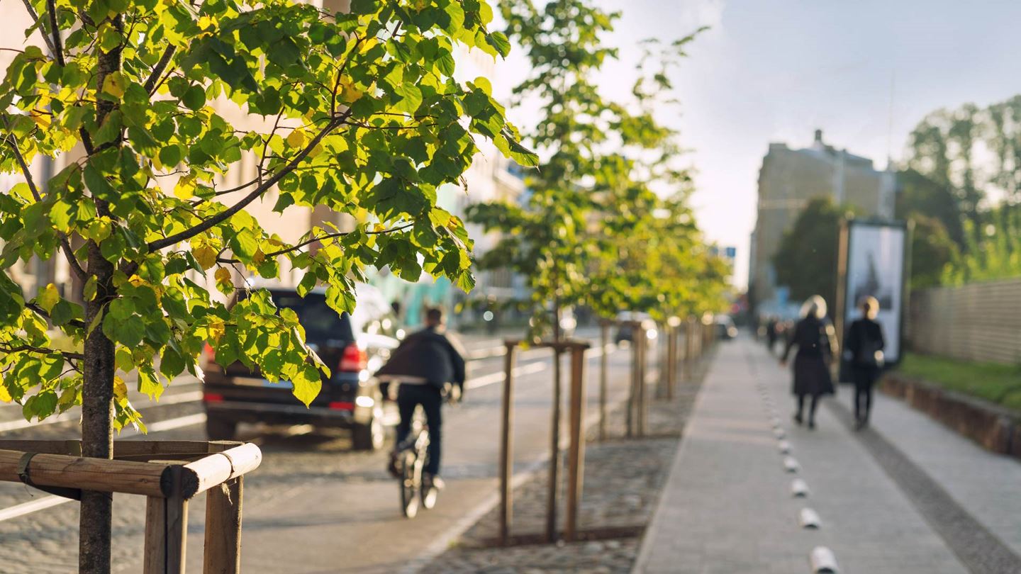 Valuing natural capital to rebalance the way urban settings are designed and managed.