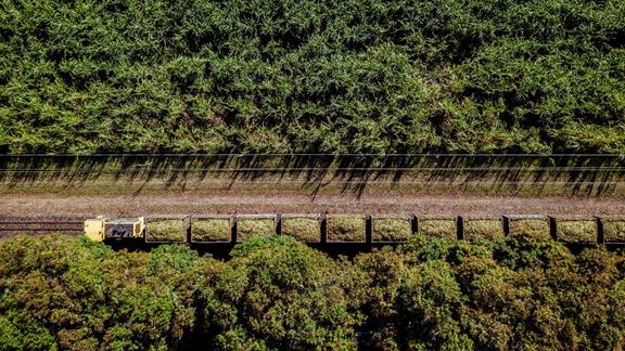 Aurecon paper shares an overview of the region’s natural resources through a circular economy approach.