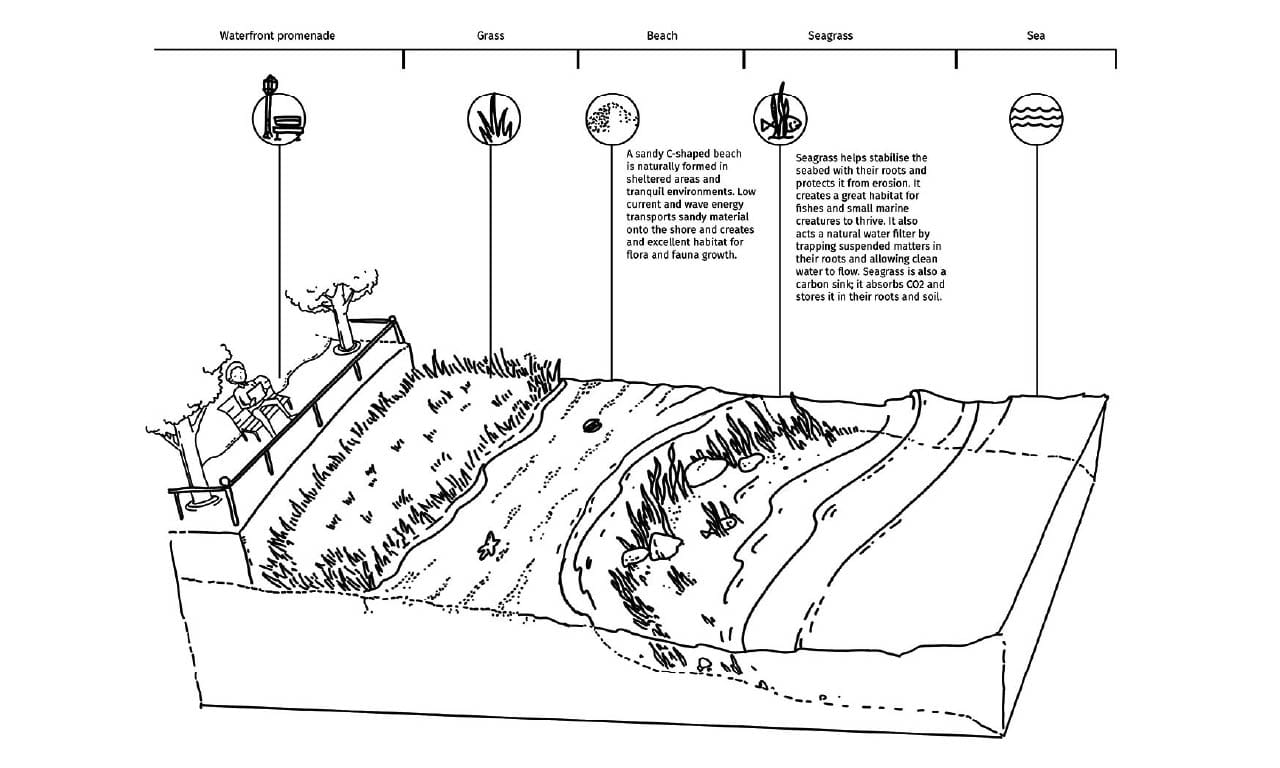 Figure 1. C-Shape beach illustration.