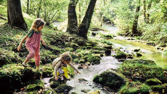 Two children on a creek adventure.