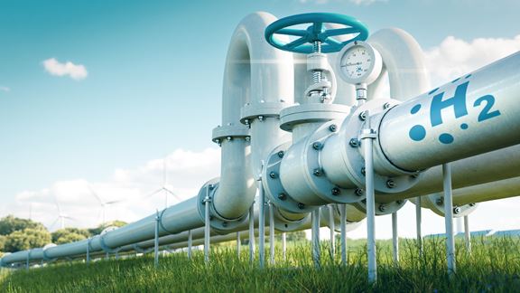Aurecon's Megan Wheeldon shares the 7 actions to grow a successful hydrogen business.