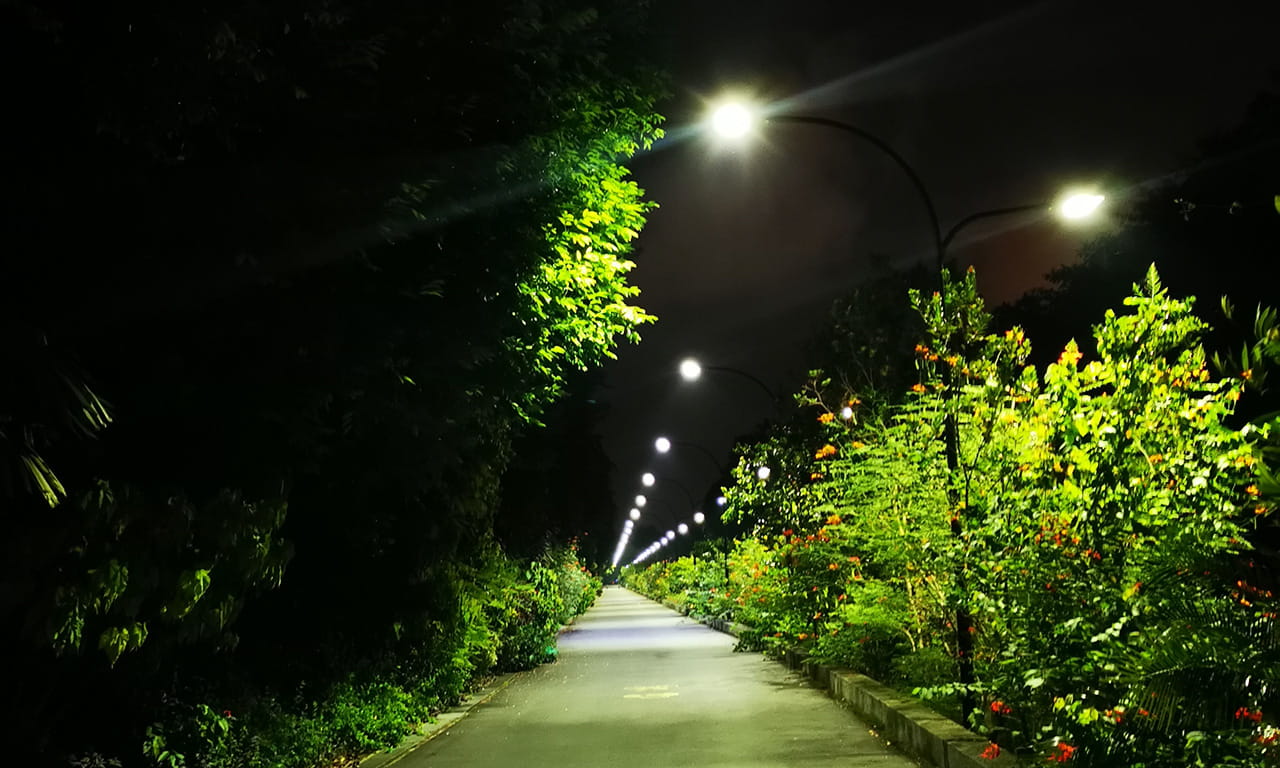 Figure 1b. 02 August 2020, 11.10pm. Pathway lighting causing light pollution glare and light trespass into the sky from the gardens by the bay overlooking Marina Bay Sands, Singapore.