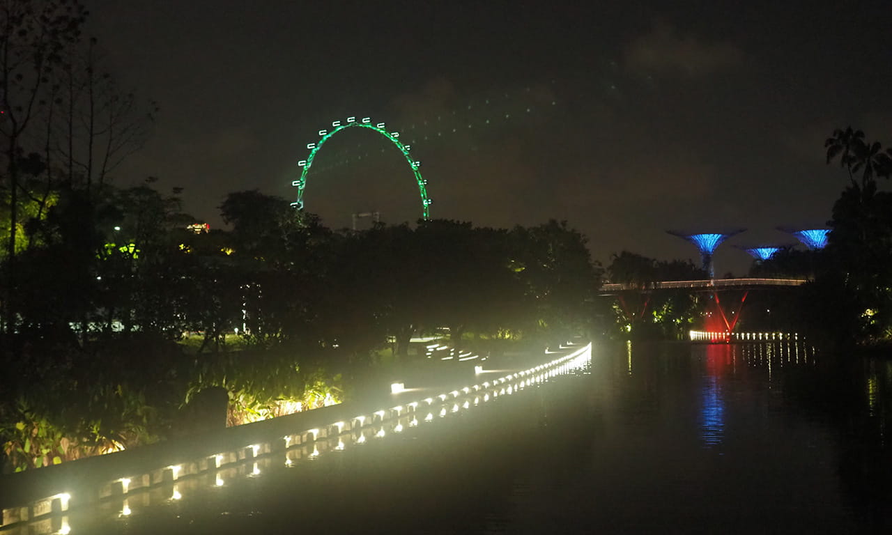 Figure 1c. 02 August 2020, 11.20pm. Singapore flyer and super trees contributing light spill into the sky. Bridge lighting causing light spill and glare.
