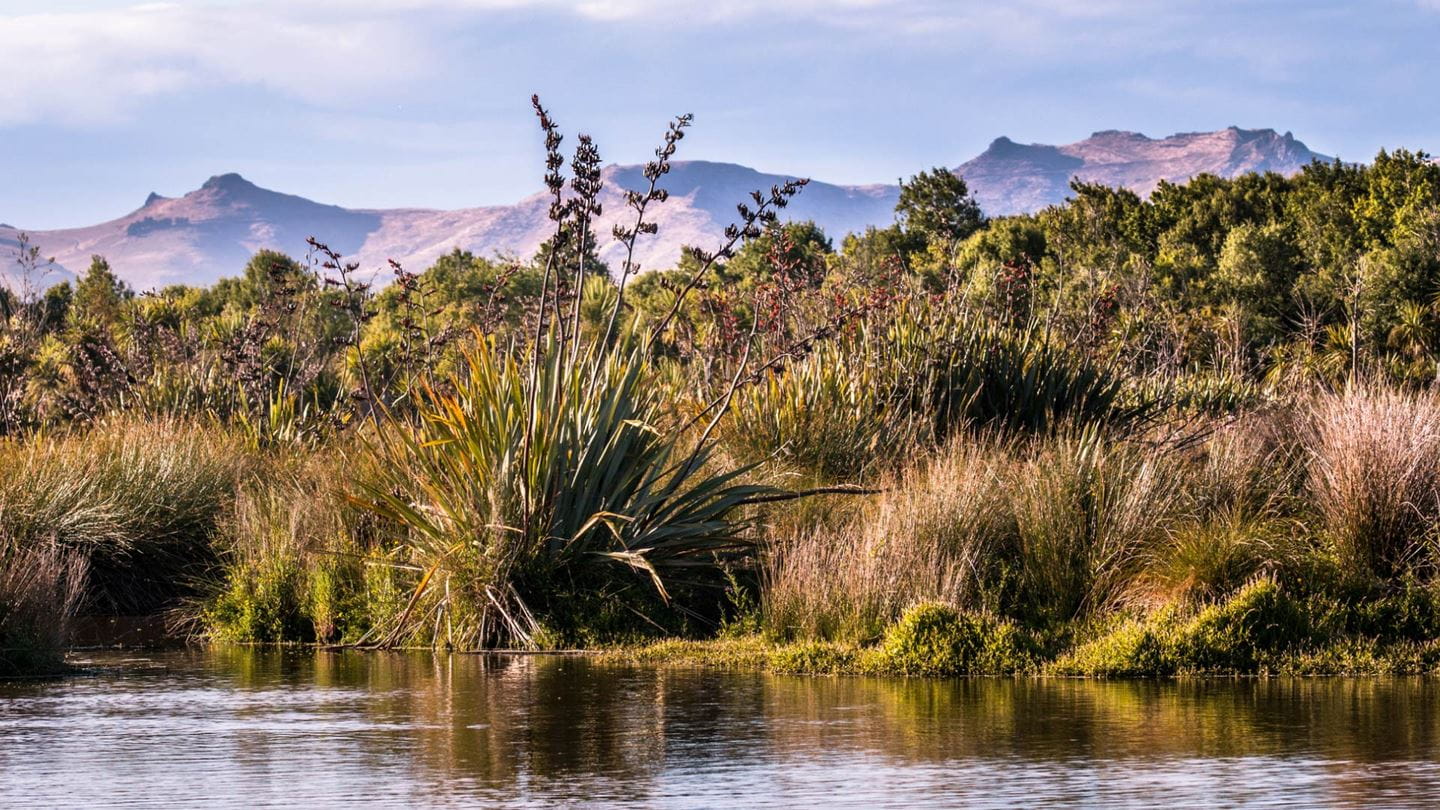 Nature-based solutions are a powerful ally to address climate change impacts.