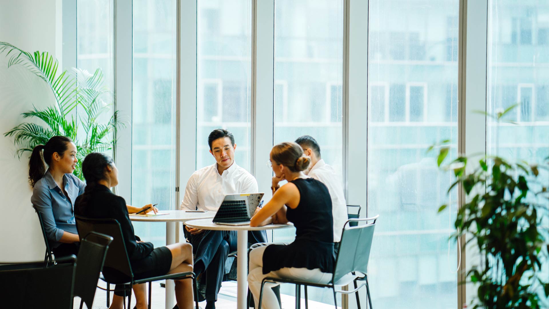 Turning private sector net zero risk into opportunity.