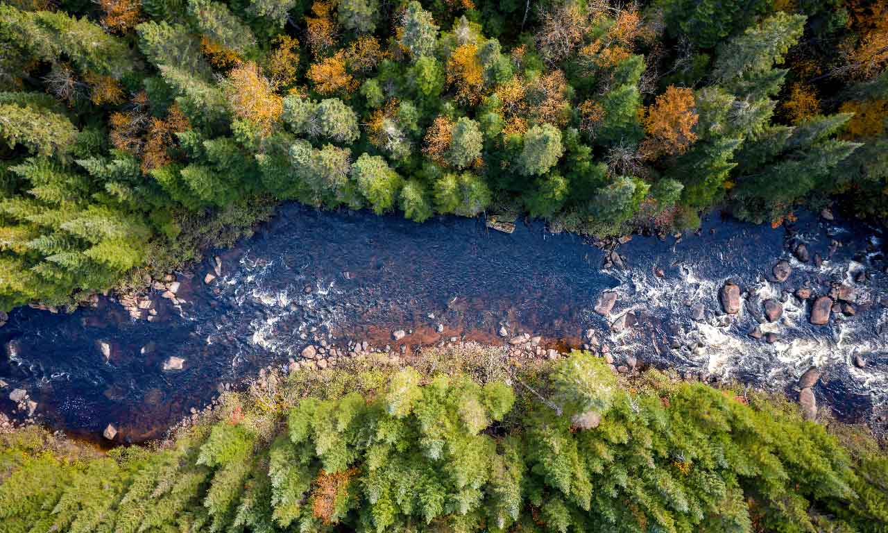 The TNFD draft provides an opportunity for organisations to plan and incorporate nature-related risks in their business.