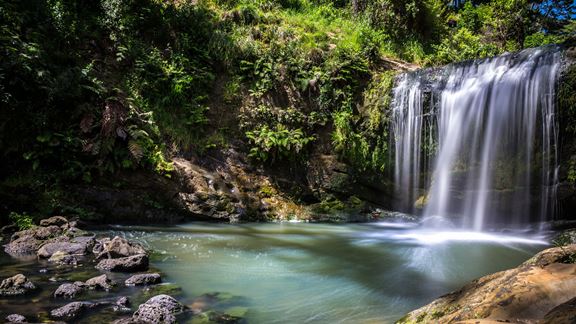 The Oakley Creek Waterfall, located in Auckland, New Zealand.