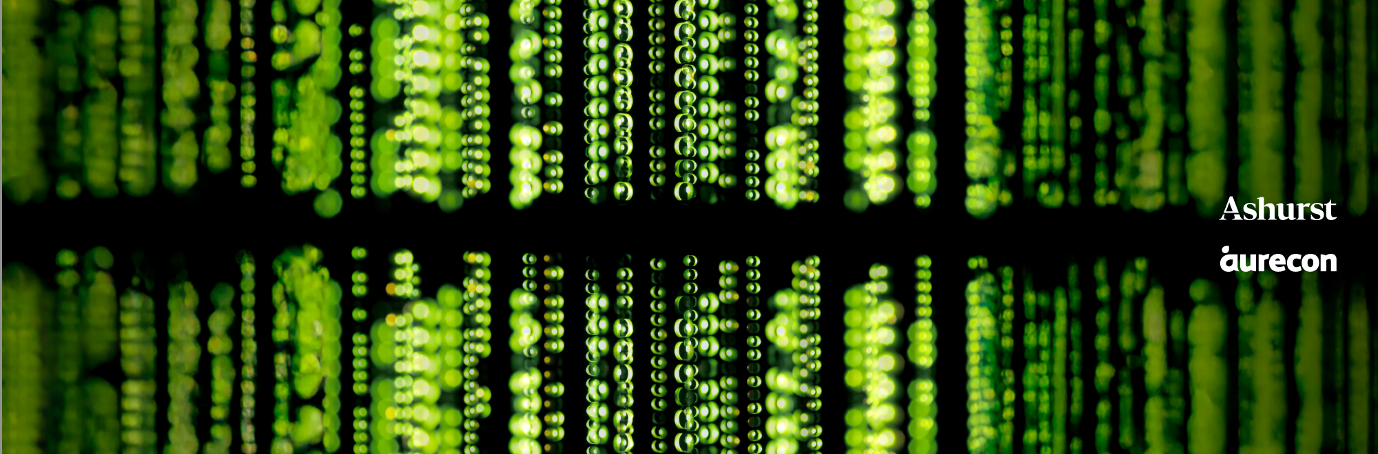 Data centres in the AI age: Power, Place and Cooling