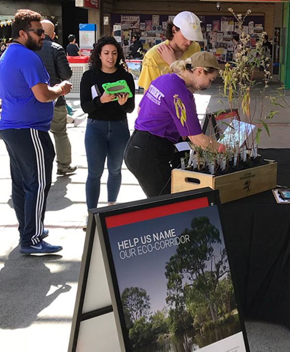Now officially known as the ‘La Trobe Nangak Tamboree’, the eco-corridor neighbourhood is a very special place on the Melbourne campus of La Trobe University. Image courtesy of La Trobe University.