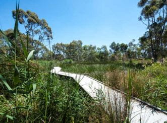For many years this biodiverse waterway corridor had no name, no identity and was a relatively unknown hidden asset, with the broader community unaware of its existence, connectivity or wider benefits.  Image courtesy of La Trobe University.