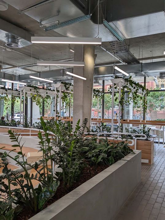 Indoor features of greenery and timber support occupant health and well-being.