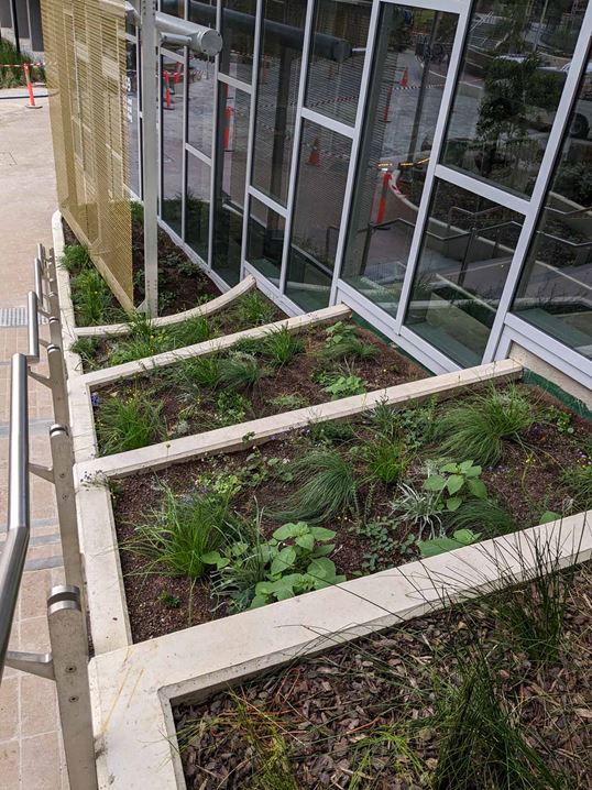 Mimicking natural processes demonstrates to students how the built form and landscape can deliver holistically beneficial outcomes.