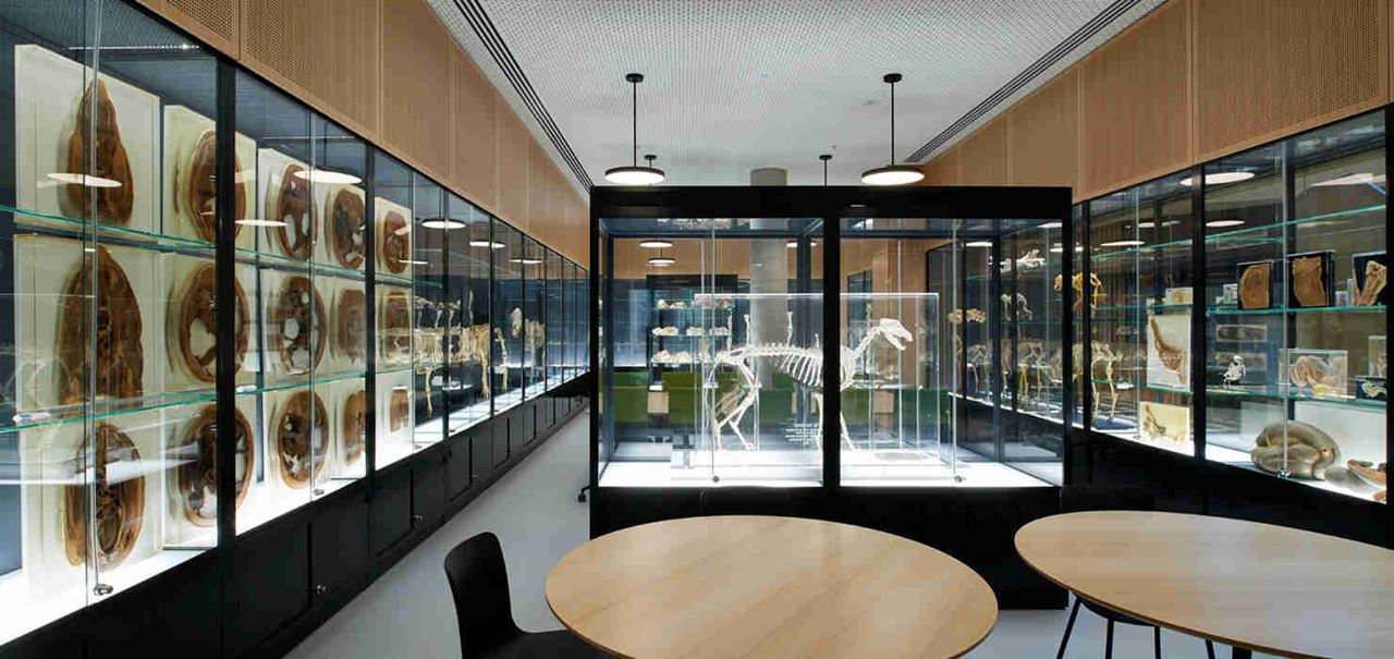 The UoM’s Life Sciences Complex Stage 1 project is an example of Aurecon bringing the University’s requirements to life.