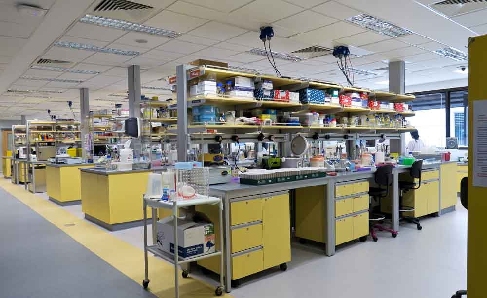 A furbished laboratory at NUS, Block MD10.
