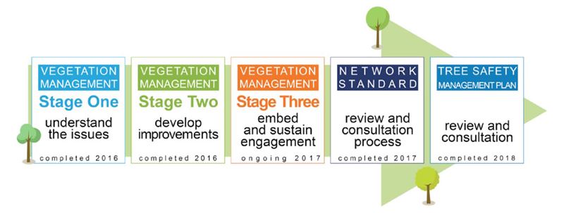Aurecon's project phases for the Ausgrid Vegetation Management