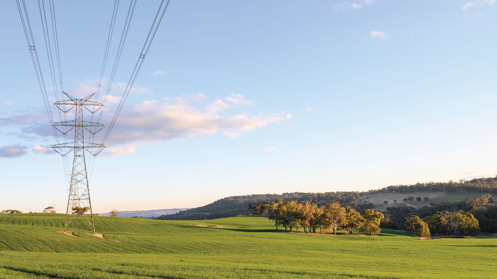 Providing research support to help build more robust and future-ready energy in Australia.