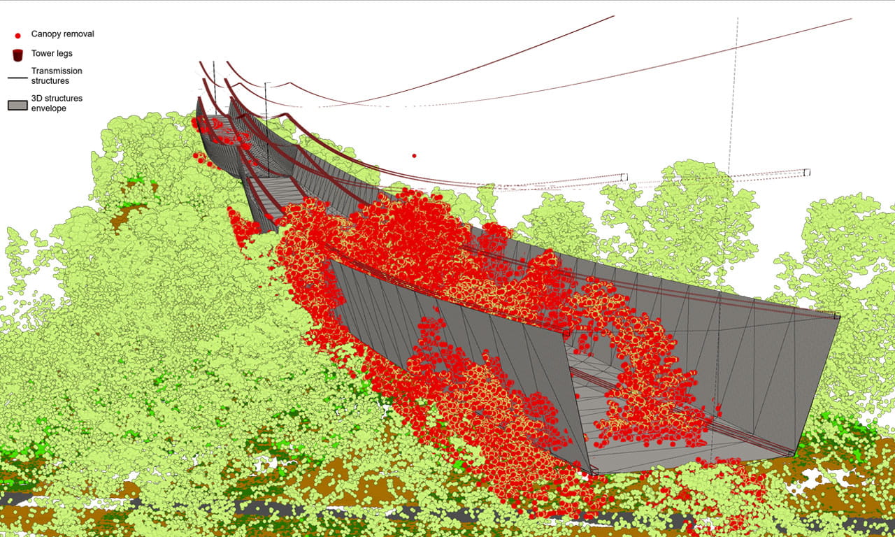 A tree canopy impact digital analytics tool calculates the volume of vegetation clearance required for the different corridor options.