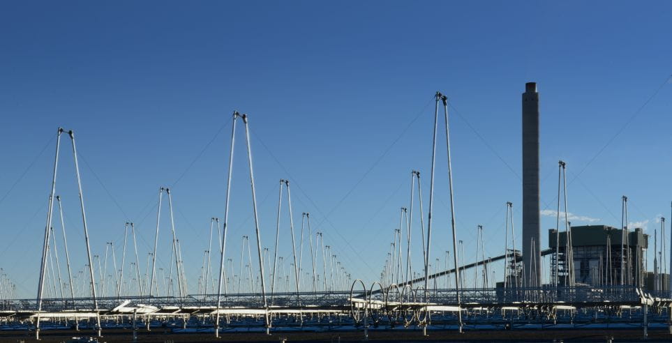 View from ground level of the Kogan Creek Solar farm.