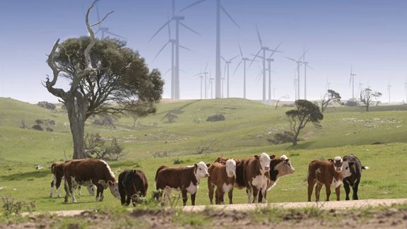 Lake Bonney Wind Power was constructed to generate renewable power energy.