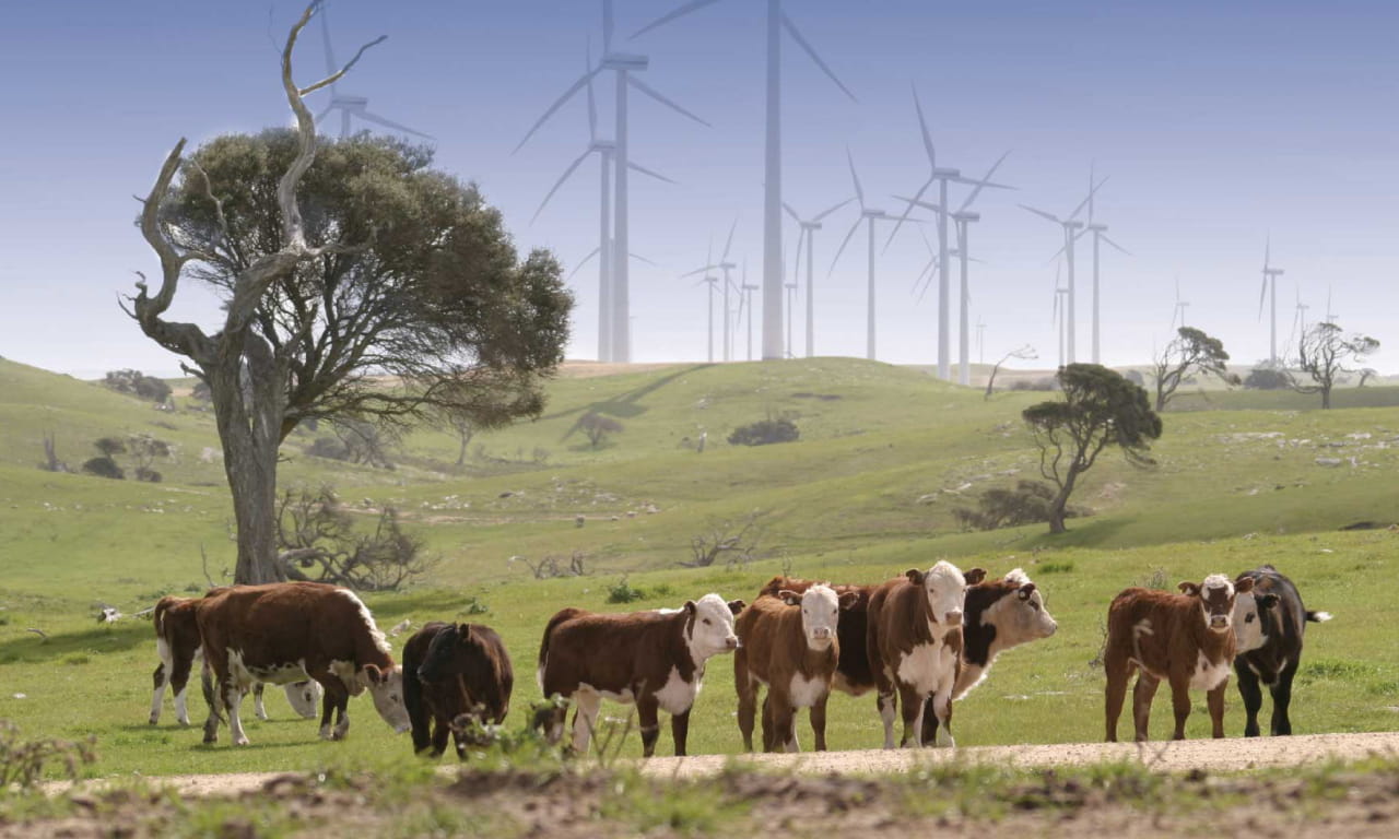 Lake Bonney Wind Power was constructed to generate renewable power energy.