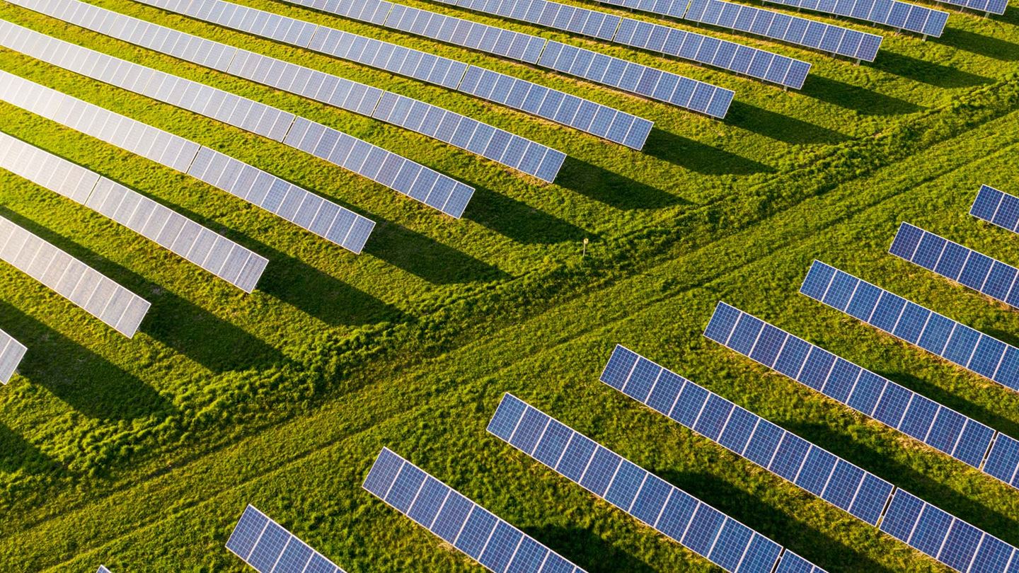 One of New Zealand’s largest solar farms in Te Aroha, Waikato.