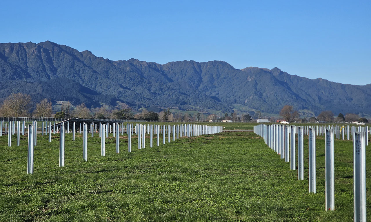 The Tauhei Solar Farm is a key step in New Zealand's transition to cleaner energy, supporting the goal of doubling renewable energy by 2050.
