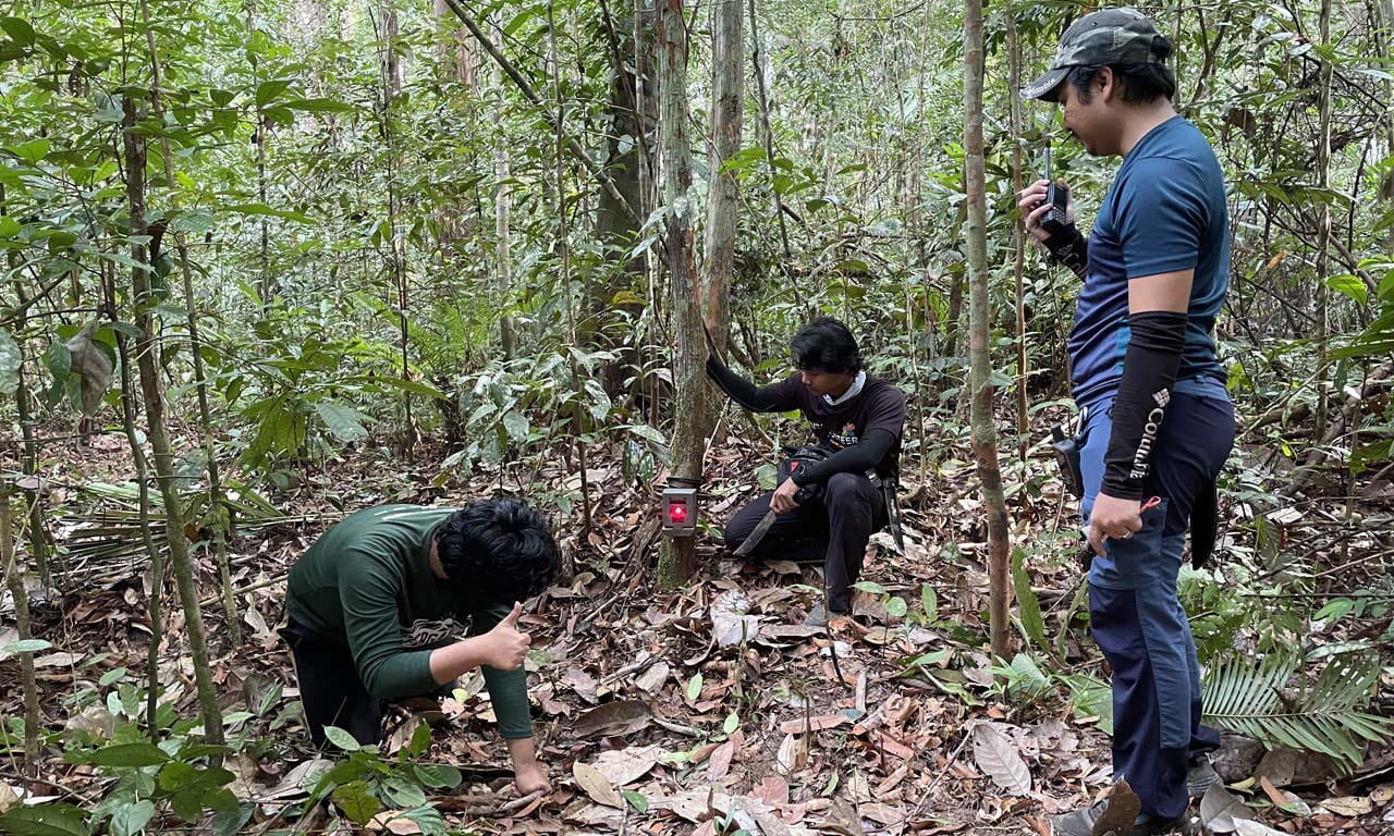 Field staff preparing camera-traps in the forest.