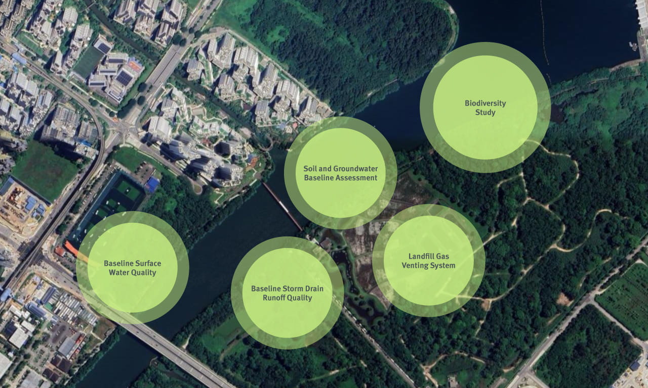Extensive baseline and biodiversity studies were undertaken at Lorong Halus.