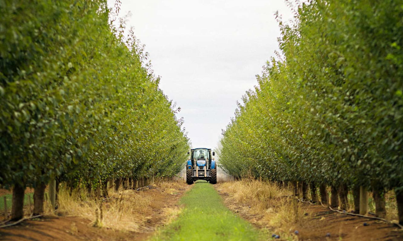 Introducing local circular economy agricultural processes.