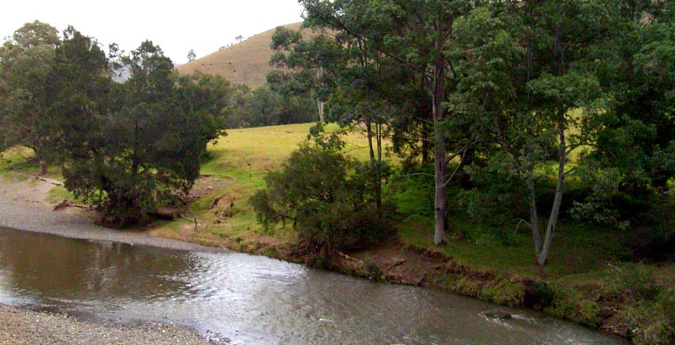 The Williams River.