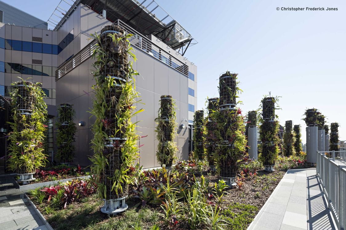 One of the garden spaces at the Queensland Childrens Hospital. Image courtesy of Christopher Frederick Jones.