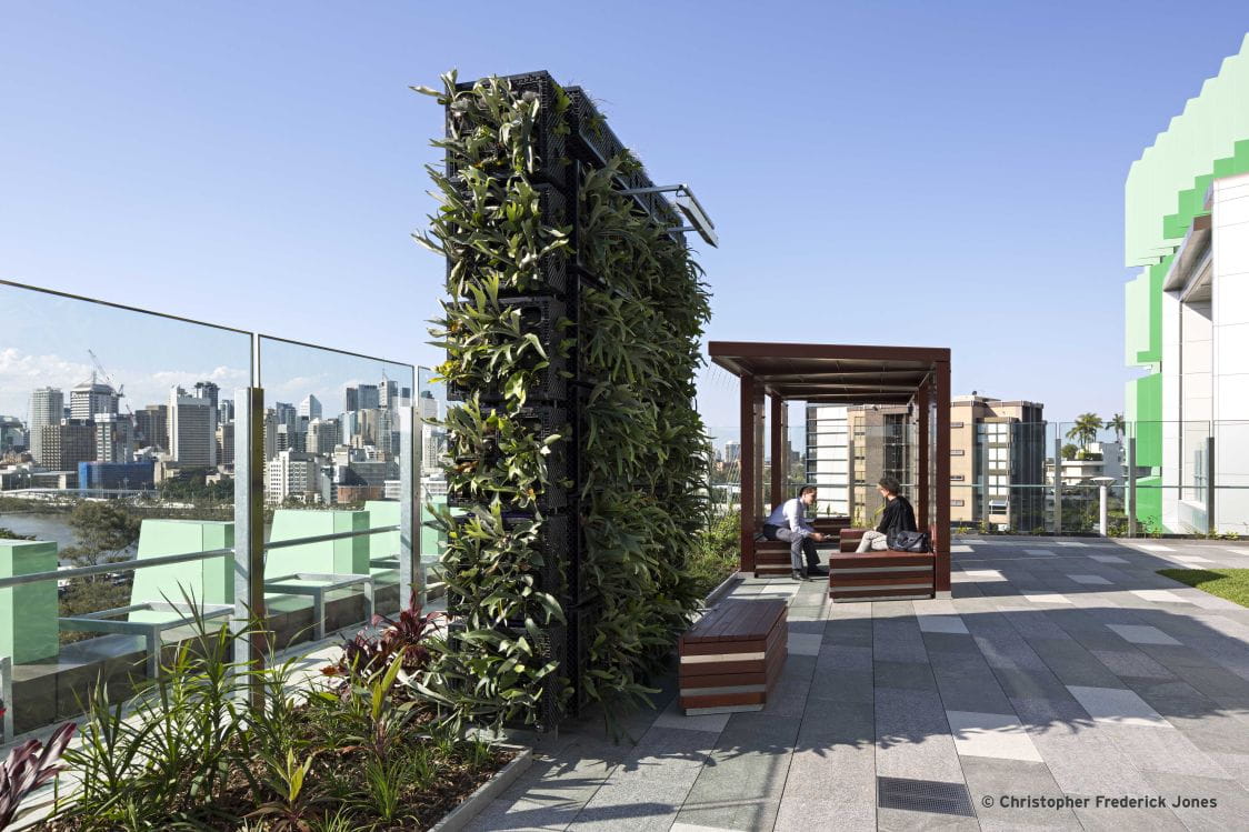 A vertical garden in one of the outdoor spaces at the Queensland Childrens Hospital. Image courtesy of Christopher Frederick Jones.