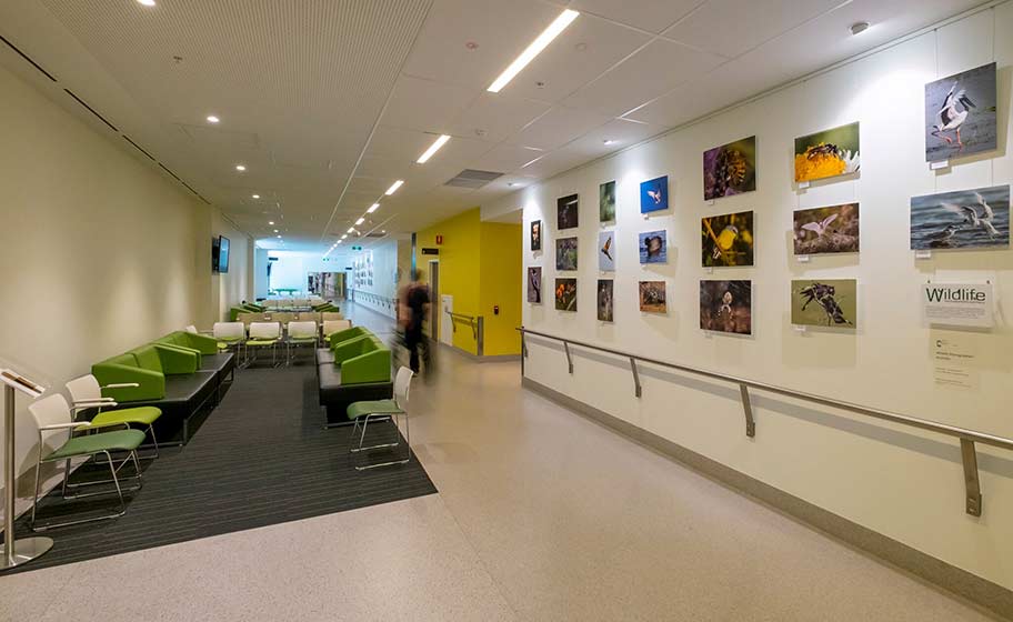 Aurecon put in place a series of functional changes to better support program decision making.