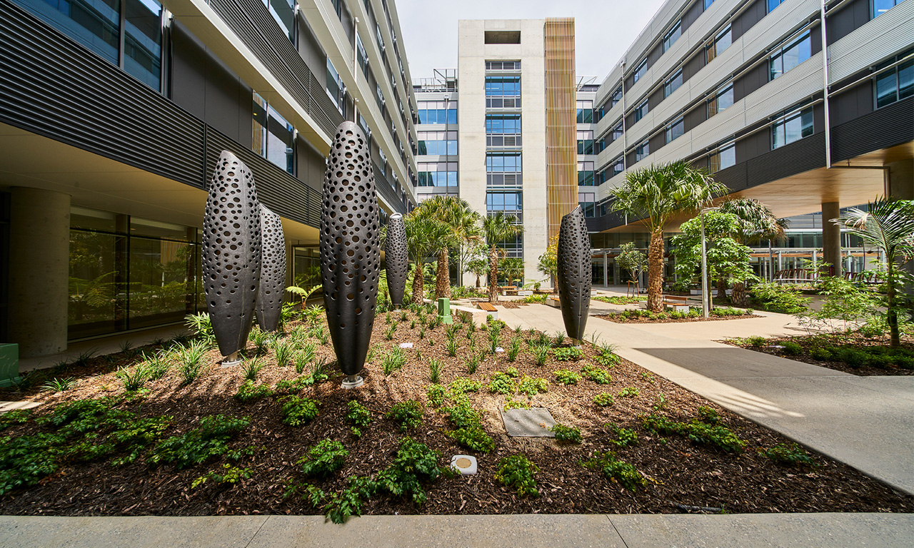 Landscape courtyard at Sunshine Coast University Hospital. Image courtesy of Lendlease Building.