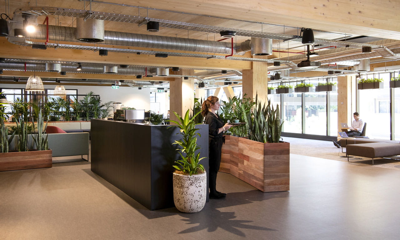 Aurecon cafe area in the 25 King building.
