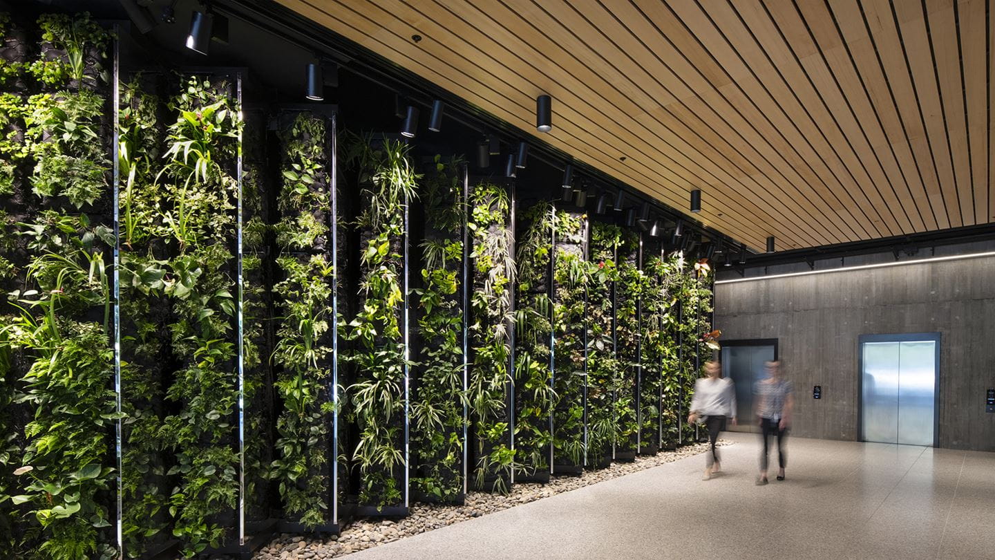 Green wall in foyer at 25 King, Brisbane.